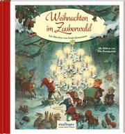 Weihnachten im Zauberwald Heinemann, Erich 9783480401529