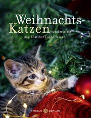 Weihnachts-Katzen und wie sie das Fest der Liebe feiern Romy Thiele 9783851795165