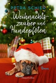 Weihnachtszauber und Hundepfoten Schier, Petra 9783365004357