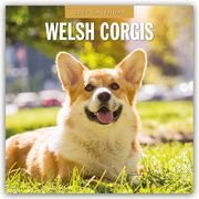 Welsh Corgis - Welsh Corgi 2025 - 16-Monatskalender  9781804425206