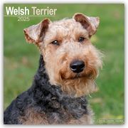 Welsh Terrier 2025 - 16-Monatskalender  9781804603970