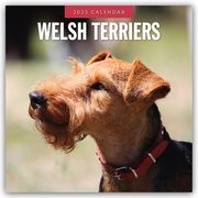 Welsh Terriers - Welsh Terrier 2025 - 16-Monatskalender  9781804425213