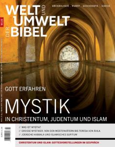 Welt und Umwelt der Bibel - Mystik Gosebrink, Hildegard 9783944766522