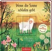 Wenn die Sonne schlafen geht Boese, Cornelia 9783845855547