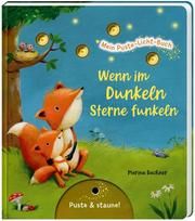 Wenn im Dunkeln Sterne funkeln Nömer, Christina 9783480236527