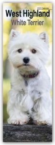 West Highland White Terrier - Westies 2025  9781804605196