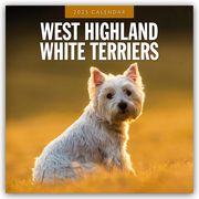West Highland White Terriers - West Highland White Terrier - Westie 2025 - 16-Monatskalender  9781804425220