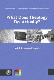 What Does Theology Do, Actually? Phillip A Jr Davis/Daniel Lanzinger/Matthew Ryan Robinson 9783374071951