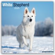White German Shepherd - Weißer Schäferhund 2025 - 16-Monatskalender  9781804604007