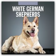 White German Shepherds - Weißer Deutscher Schäferhund 2025 - 16-Monatskalender  9781804424667