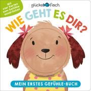 Wie geht es dir? Mein erstes Gefühle-Buch Julia Seal 9783737358705