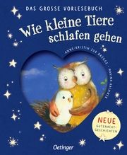 Wie kleine Tiere schlafen gehen. Das große Vorlesebuch zur Brügge, Anne-Kristin 9783751205603