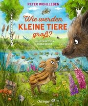 Wie werden kleine Tiere groß? Wohlleben, Peter 9783751203999