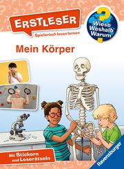 Wieso? Weshalb? Warum? Erstleser, Band 15: Mein Körper Noa, Sandra 9783473600687