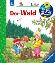 Wieso? Weshalb? Warum? junior, Band 6: Der Wald Weinhold, Angela 9783473332984