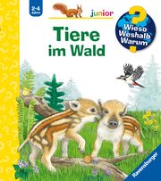 Wieso? Weshalb? Warum? junior, Band 77: Tiere im Wald Mennen, Patricia 9783473600793