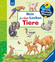 Wieso? Weshalb? Warum? Mein junior-Lexikon: Tiere Anne Möller 9783473328918