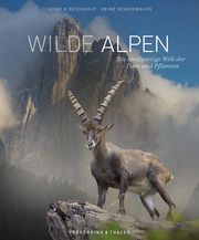 Wilde Alpen Reichholf, Josef H (Prof. Dr.) 9783954163885