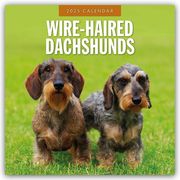 Wire-Haired Dachshunds - Rauhaardackel 2025 - 16-Monatskalender  9781804425251