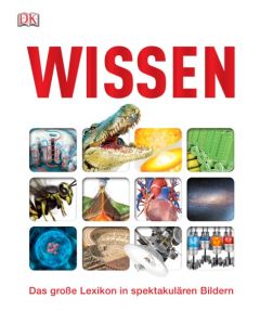 Wissen Martin Kliche/Eva Sixt/Claudia Theis-Passaro 9783831026180