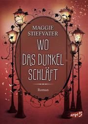 Wo das Dunkel schläft Stiefvater, Maggie 9783743213739