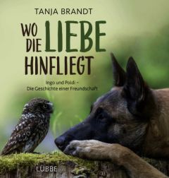 Wo die Liebe hinfliegt Brandt, Tanja 9783431039696