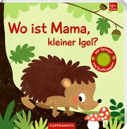 Wo ist Mama, kleiner Igel? Sabine Kraushaar 9783649648031