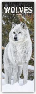 Wolves - Wölfe 2025  9781804605318