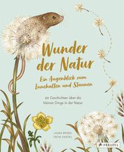 Wunder der Natur - Ein Augenblick zum Innehalten und Staunen Brand, Laura/Hartas, Freya 9783791375434