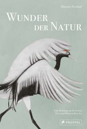 Wunder der Natur Forshall, Beatrice 9783791389462