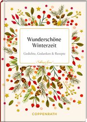 Wunderschöne Winterzeit  9783649648840