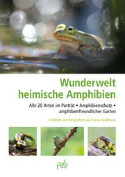 Wunderwelt heimische Amphibien Graßmann, Farina 9783895664199