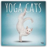 Yoga Cats - Yoga-Katzen 2025 - 16-Monatskalender  9781975479862