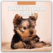 Yorkshire Terrier Puppies - Yorkshire Terrier Hundewelpen 2025 - 16-Monatskalender  9781804425282