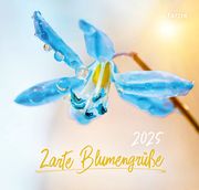 Zarte Blumengrüße 2025  9783866037557