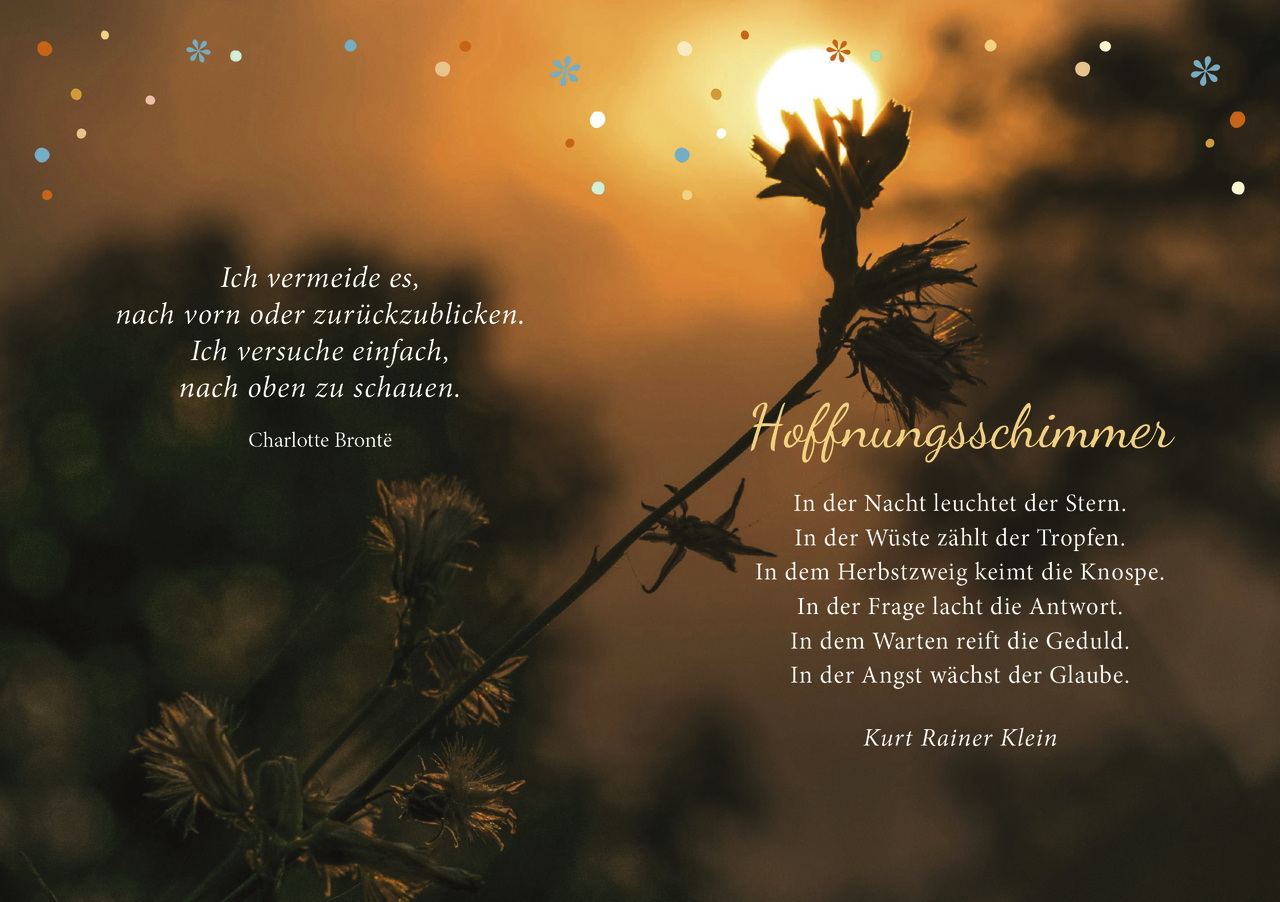 Beispielinhalt